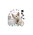 子猫の「のりうに」（個別スタンプ：9）