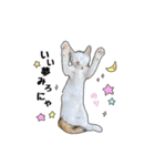 子猫の「のりうに」（個別スタンプ：10）