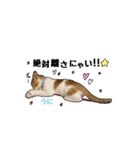 子猫の「のりうに」（個別スタンプ：21）
