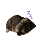 Salon Baby_Dreaming（個別スタンプ：6）