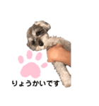 Salon Baby_Dreaming（個別スタンプ：7）