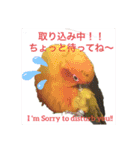 May Chan 2020（個別スタンプ：4）