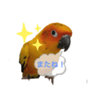 May Chan 2020（個別スタンプ：8）