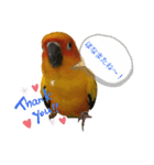 May Chan 2020（個別スタンプ：10）