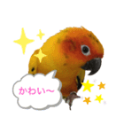 May Chan 2020（個別スタンプ：14）