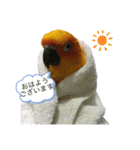 May Chan 2020（個別スタンプ：16）