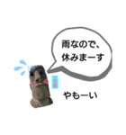 三方様（個別スタンプ：6）