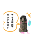 三方様（個別スタンプ：9）