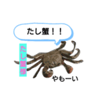三方様（個別スタンプ：10）