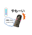 三方様（個別スタンプ：13）