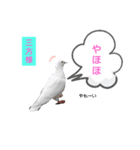 三方様（個別スタンプ：14）
