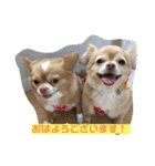 わちるとあぐりの日常使える【敬語】（個別スタンプ：1）