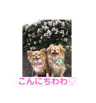 わちるとあぐりの日常使える【敬語】（個別スタンプ：2）
