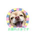 わちるとあぐりの日常使える【敬語】（個別スタンプ：3）