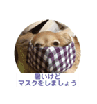 わちるとあぐりの日常使える【敬語】（個別スタンプ：5）
