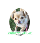 わちるとあぐりの日常使える【敬語】（個別スタンプ：6）