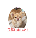 わちるとあぐりの日常使える【敬語】（個別スタンプ：8）