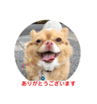 わちるとあぐりの日常使える【敬語】（個別スタンプ：11）