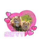 わちるとあぐりの日常使える【敬語】（個別スタンプ：15）