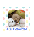 わちるとあぐりの日常使える【敬語】（個別スタンプ：16）