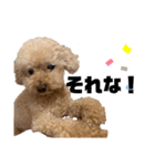 ティナのきもち。3（個別スタンプ：9）