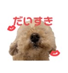 ティナのきもち。3（個別スタンプ：14）