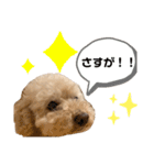 ティナのきもち。3（個別スタンプ：15）