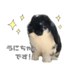 たれ耳うさぎ うにちゃん2（個別スタンプ：1）