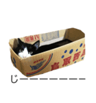 みぃくぅ（個別スタンプ：2）