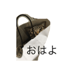みぃくぅ（個別スタンプ：4）