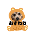 颯斗とモコのスタンプ（個別スタンプ：15）