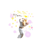 Cocoちゃんにゃんこスタンプ（個別スタンプ：6）