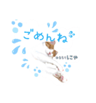 Cocoちゃんにゃんこスタンプ（個別スタンプ：7）