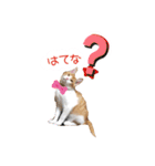 Cocoちゃんにゃんこスタンプ（個別スタンプ：10）