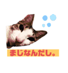 つなたら1（個別スタンプ：8）