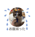つなたら1（個別スタンプ：11）