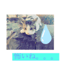 つなたら1（個別スタンプ：12）