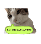 つなたら1（個別スタンプ：17）