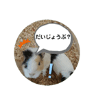 つちこきみえ(日常動物版)（個別スタンプ：7）