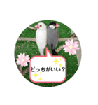 つちこきみえ(日常動物版)（個別スタンプ：10）