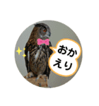 つちこきみえ(日常動物版)（個別スタンプ：16）