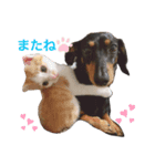 くるみとめんま（個別スタンプ：2）