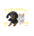 くるみとめんま（個別スタンプ：3）