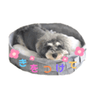 ととくくオクトパル3（個別スタンプ：4）