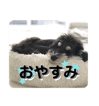 ととくくオクトパル3（個別スタンプ：9）