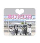 ととくくオクトパル3（個別スタンプ：11）