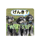 ととくくオクトパル3（個別スタンプ：12）