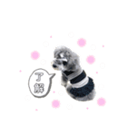 ととくくオクトパル3（個別スタンプ：14）