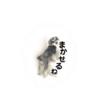 ととくくオクトパル3（個別スタンプ：16）