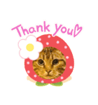 うーにーず（個別スタンプ：1）